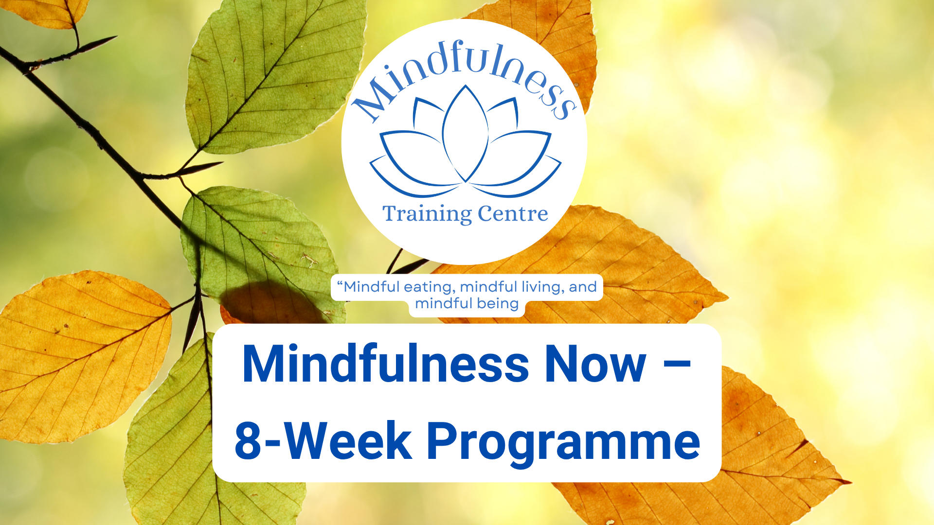 Mindfulness Now – 8-Week Programme