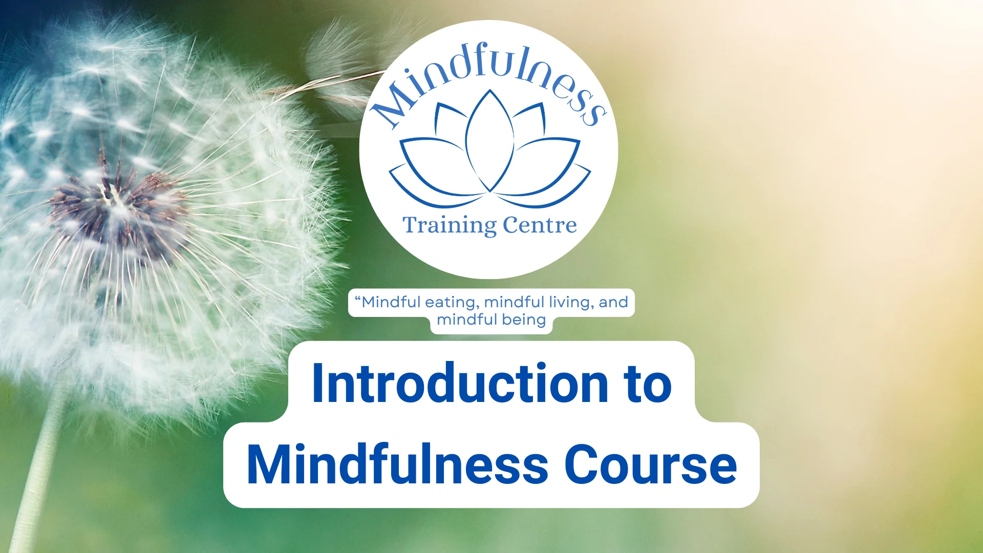 Introduction to Mindfulness Course
