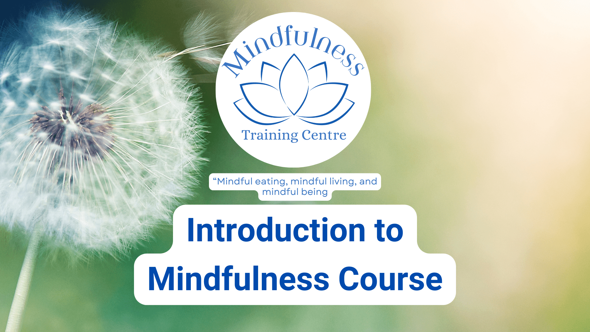 Introduction to Mindfulness Course